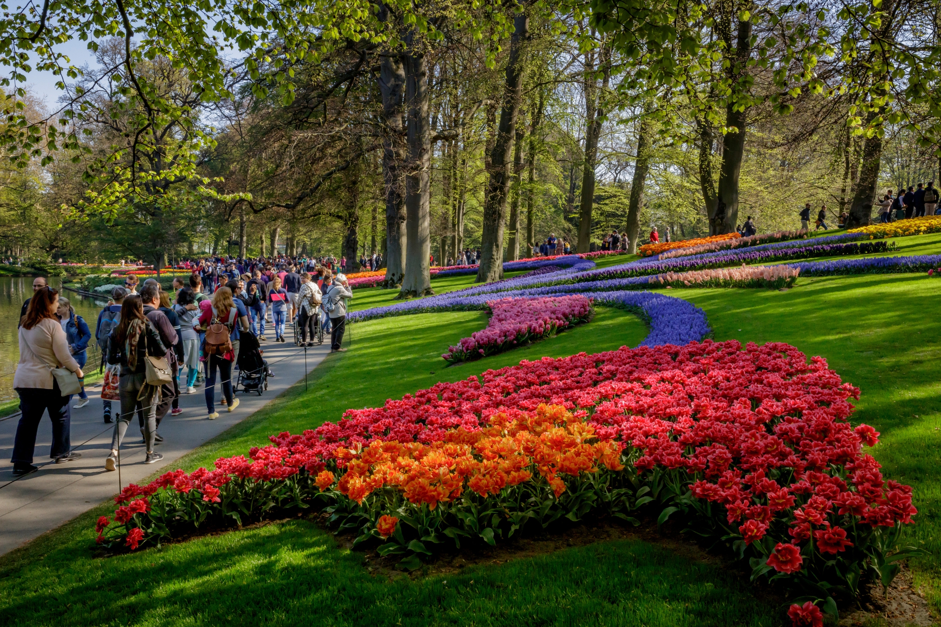 Keukenhof Lisse